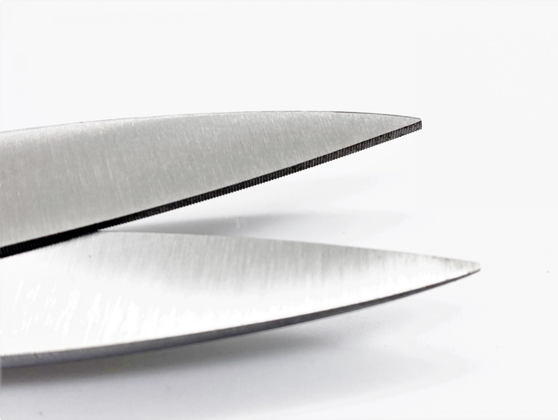 ROBUSO-PROTON Trimming shears, coated 1024/S/10"